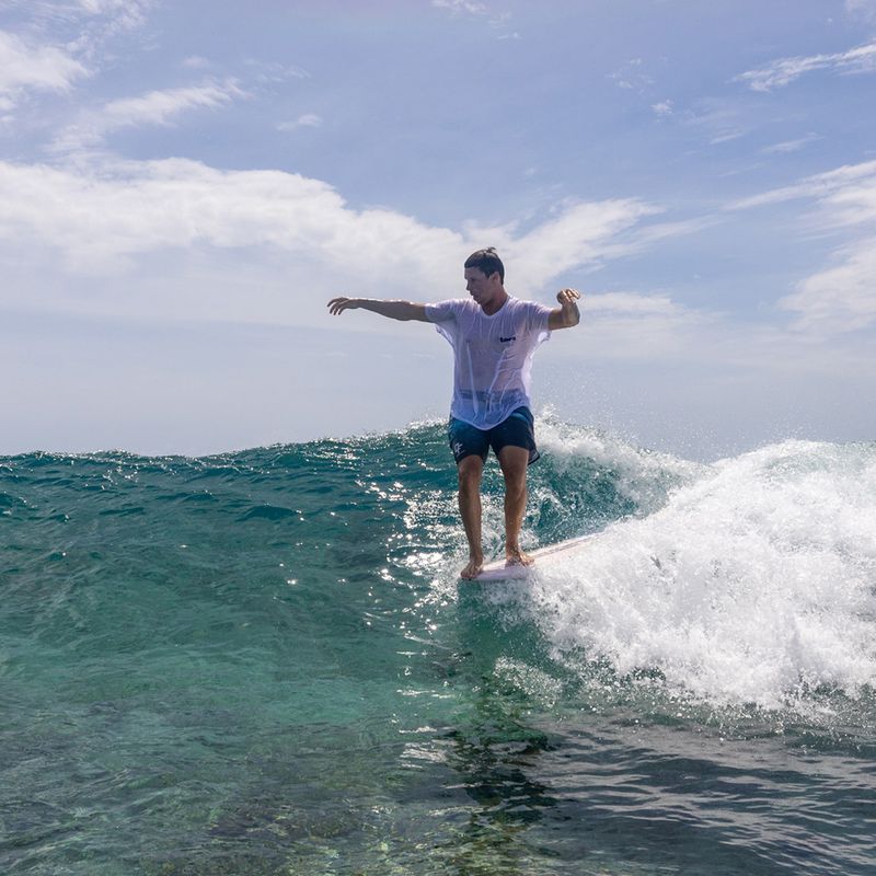 Torq Epoxy TEC - The Don Noserider 9'1 (75.5L) Longboard - Mocca