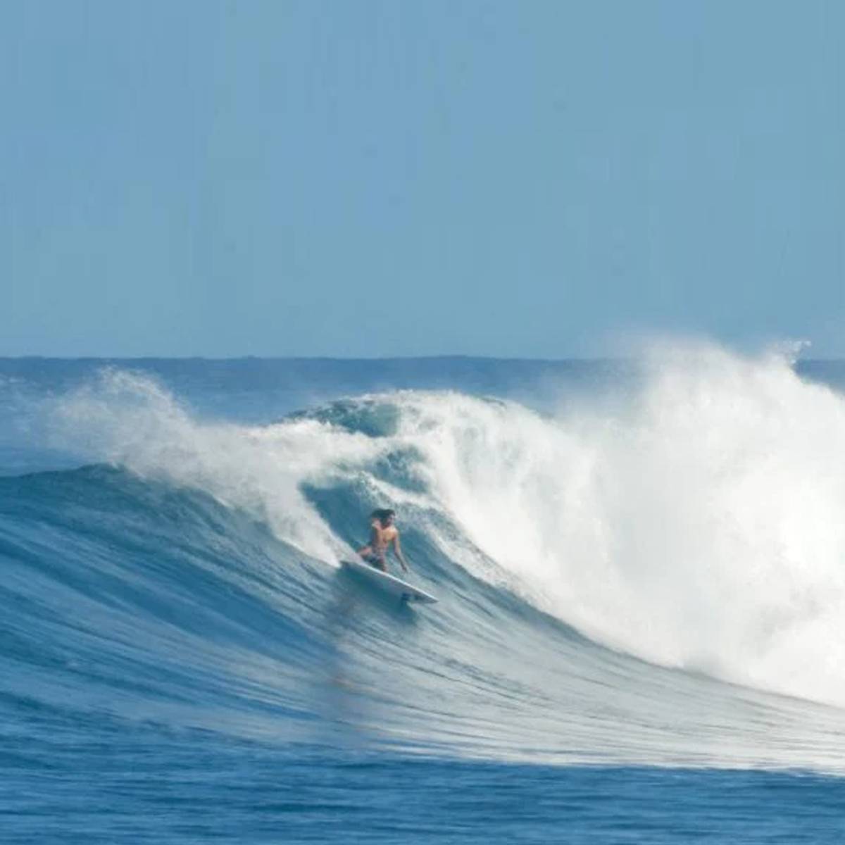 Channel Islands Happy Traveler 6'4 (34.3L) Surfebrett